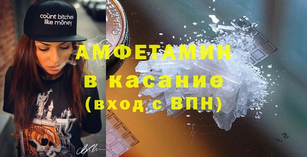 гидра Абаза